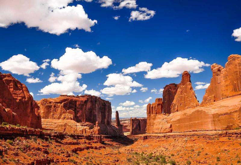 AILS Séjour junior aux USA